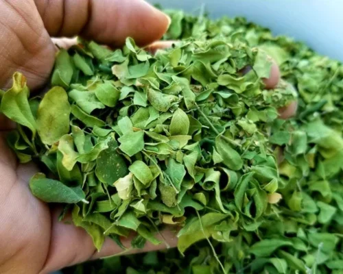 Dehydrated Moringa Leaves (Organic)